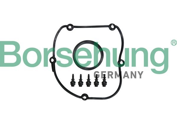 Volkswagen TRANSPORTER Gasket, timing case cover Borsehung B10629 cheap