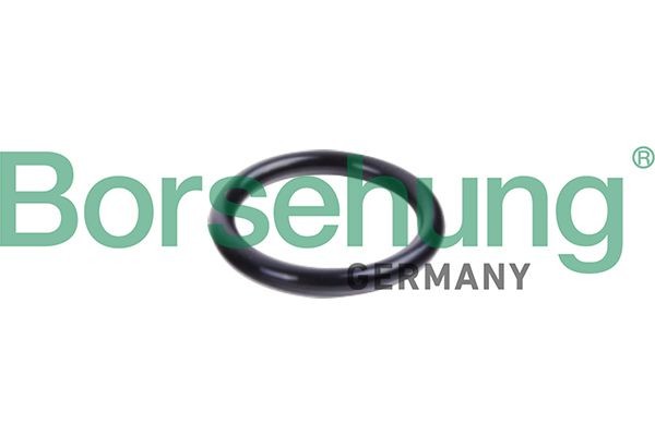 Opel CORSA Seal Ring, coolant tube Borsehung B10632 cheap