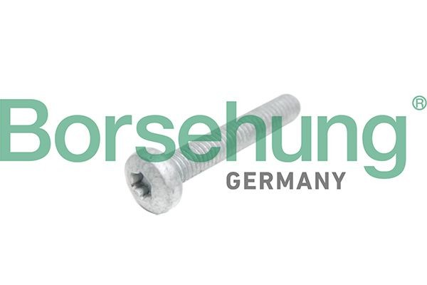 Borsehung B10645 VW TRANSPORTER 2015 Head bolts