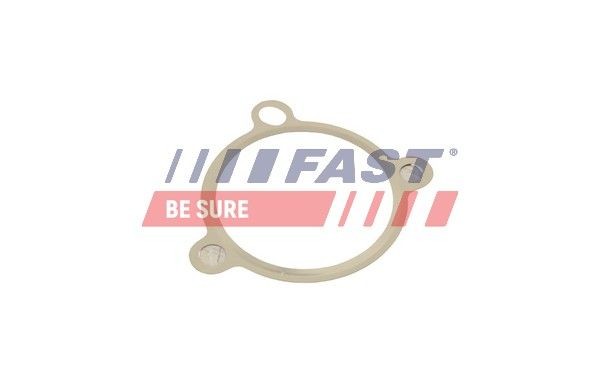 Nissan QUEST Seal, EGR valve FAST FT50605 cheap
