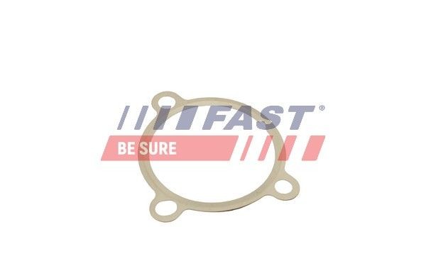 FAST Seal, EGR valve FT50605