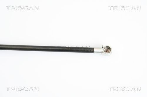 871010208 Boot gas struts TRISCAN 8710 10208 review and test