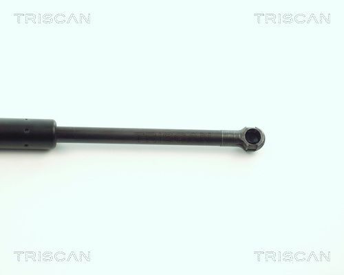 871011207 Boot gas struts TRISCAN 8710 11207 review and test