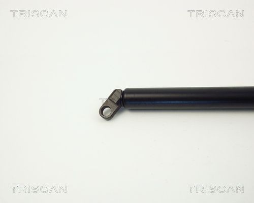 TRISCAN Gas struts 8710 11209 for BMW E39