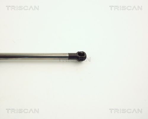 871011209 Boot gas struts TRISCAN 8710 11209 review and test