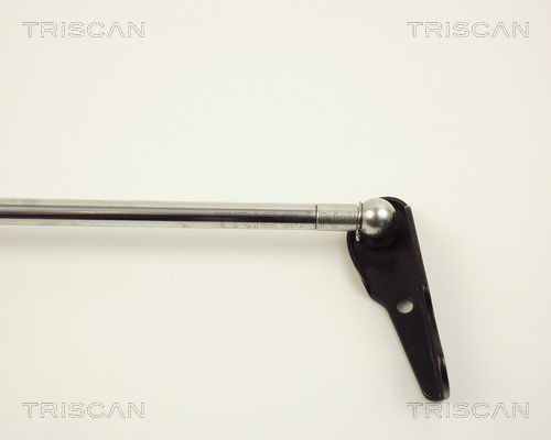 871013236 Boot gas struts TRISCAN 8710 13236 review and test