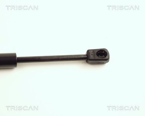 871016104 Bonnet lifters TRISCAN 8710 16104 review and test
