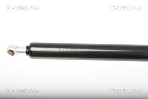 TRISCAN 8710 25246 Tailgate strut RENAULT experience and price