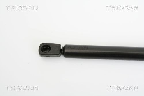 TRISCAN | Heckklappendämpfer 8710 29245 für Audi A2 8Z0