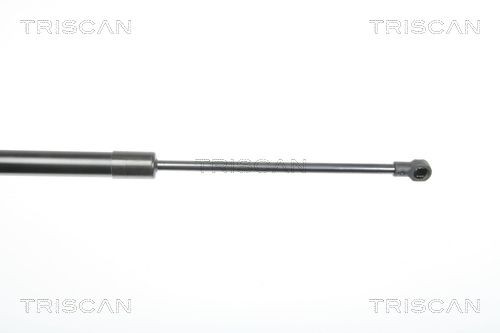 871029281 Boot gas struts TRISCAN 8710 29281 review and test