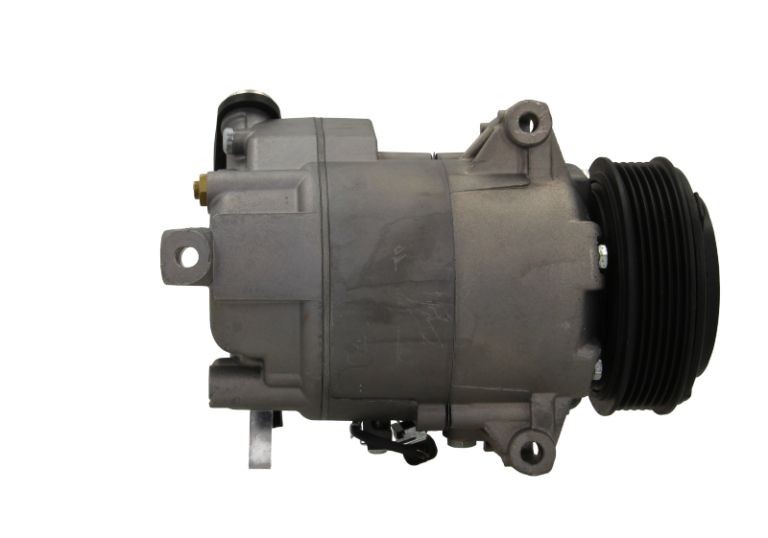 090.135.024+ BV PSH 090.135.024.040 Air conditioning compressor R1580028