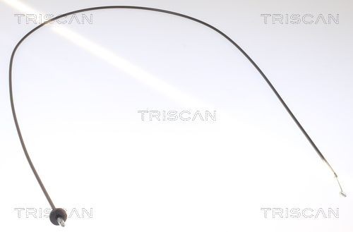Original 8140 23602 TRISCAN Hood and parts experience and price