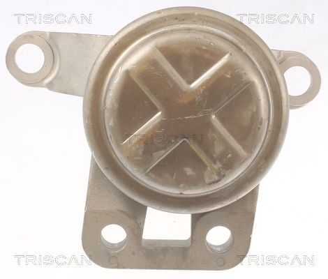 TRISCAN 850510108 Engine mount 6G916F012EC