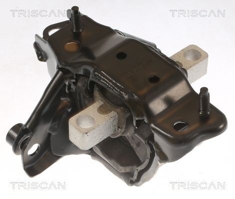 TRISCAN 850529139 Engine mount 6R0199555