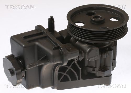 TRISCAN 851523681 Power steering pump A0064661501
