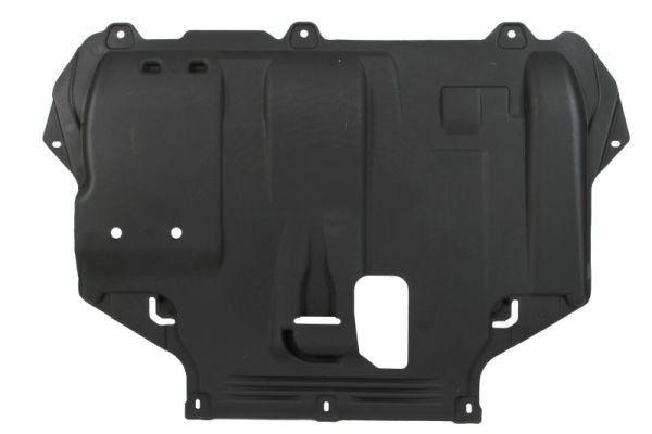 BLIC 6601-05-0000029Q Ford FOCUS 1999 Engine protection plate