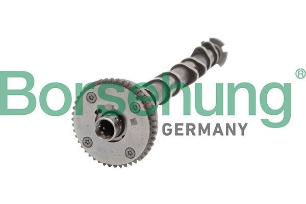 Borsehung B11319 Audi A4 2017 Engine camshaft