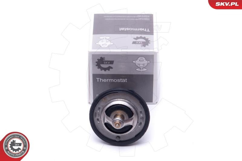 Great value for money - ESEN SKV Engine thermostat 20SKV131