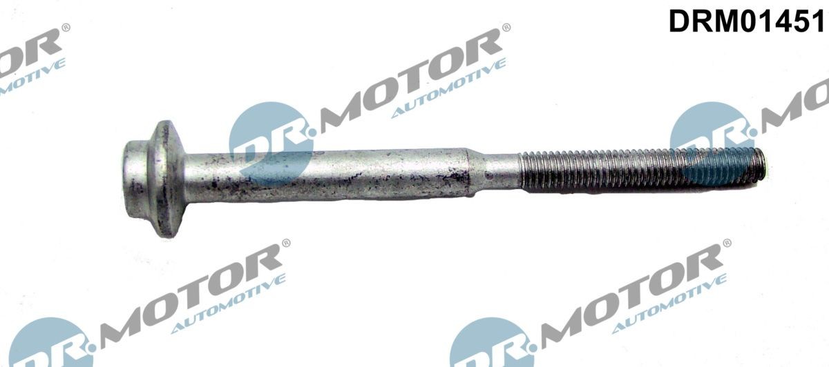 Skoda FABIA Screw, injection nozzle holder DR.MOTOR AUTOMOTIVE DRM01451 cheap