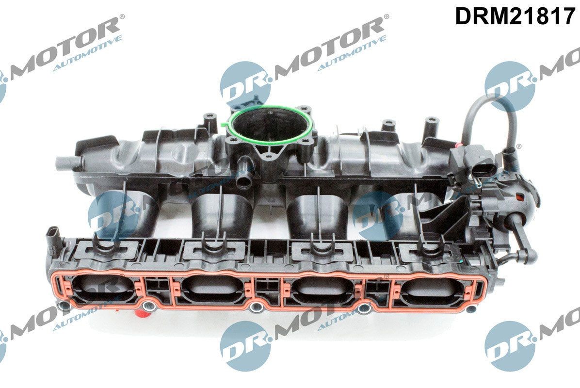DR.MOTOR AUTOMOTIVE DRM21817 Inlet manifold Tiguan Mk1 2.0 TFSI 4motion 170 hp Petrol 2009 price