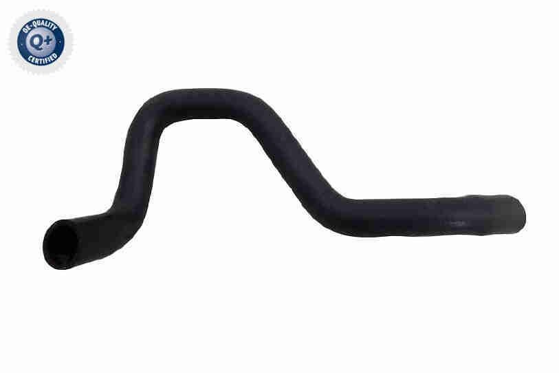 Ford MONDEO Coolant pipe 19927013 VAICO V25-2584 online buy
