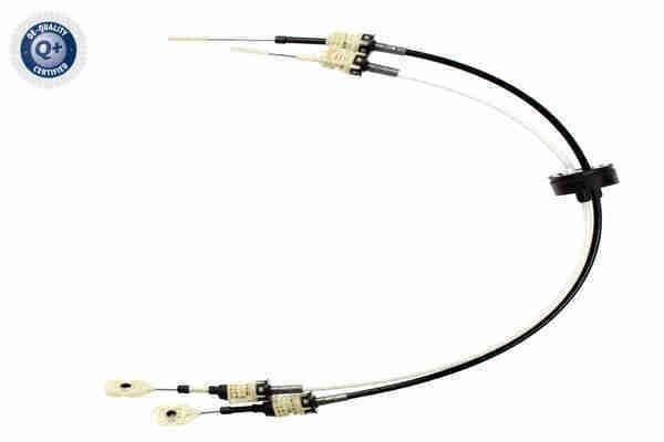 VAICO V510629 Cable, manual transmission Opel Astra g f48 1.6 84 hp Petrol 2005 price