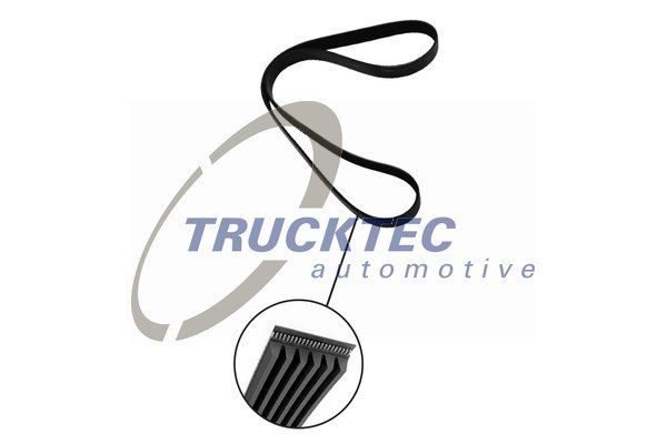Original 07.19.363 TRUCKTEC AUTOMOTIVE Poly v-belt experience and price