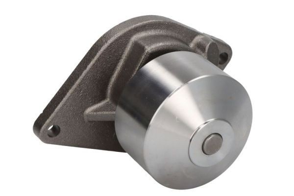 THERMOTEC Water pump for engine WP-CA113
