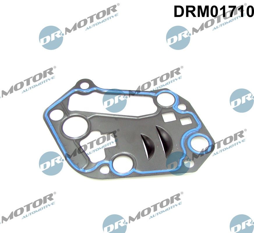 DR.MOTOR AUTOMOTIVE Seal, oil filter housing DRM01710 buy