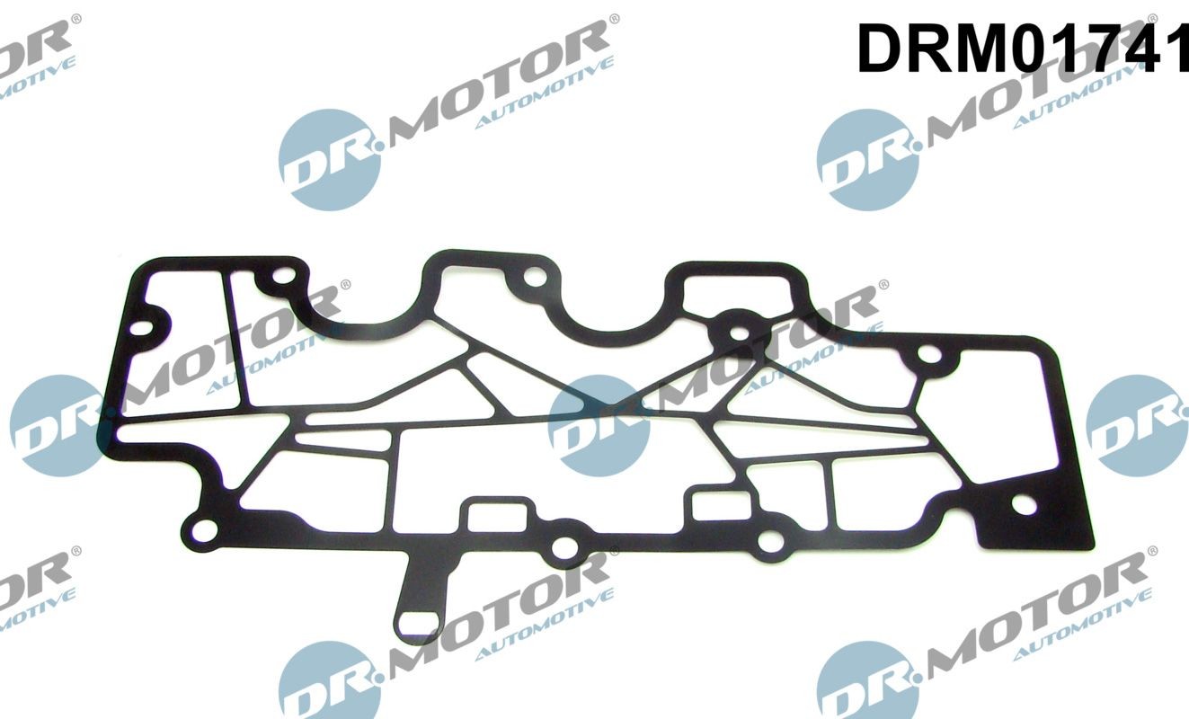 Renault TRAFIC Seal, crankcase breather DR.MOTOR AUTOMOTIVE DRM01741 cheap