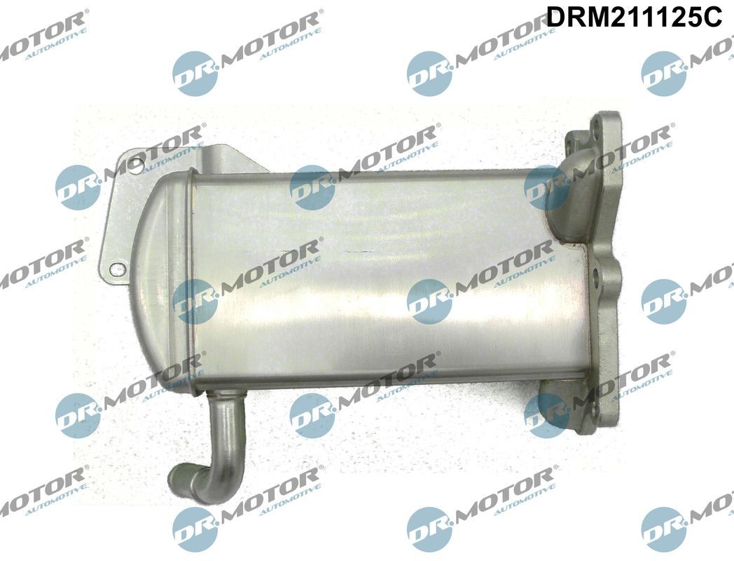 DR.MOTOR AUTOMOTIVE DRM211125C EGR valve 03L 131 512BP