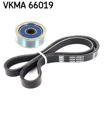 VKM 66008 SKF VKMA66019 Serpentine belt 11720 71J00