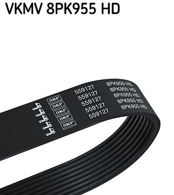 8PK955 SKF 955mm, 8 Number of ribs: 8, Length: 955mm Alternator belt VKMV 8PK955 HD buy