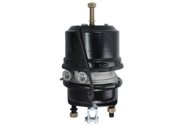 SBP 05-BCT24/24-W15 Kombibremszylinder für DAF CF 85 LKW in Original Qualität
