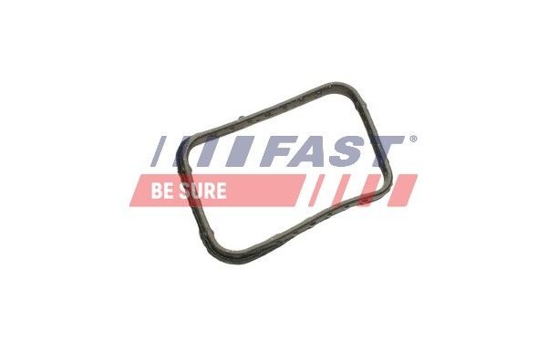 FAST FT58302 Coolant circuit seals Ford Fiesta Mk6 1.6 TDCi 90 hp Diesel 2024 price