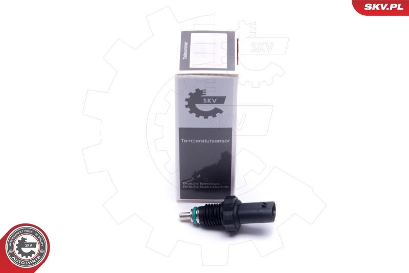 ESEN SKV Number of pins: 2-pin connector Coolant Sensor 17SKV673 buy