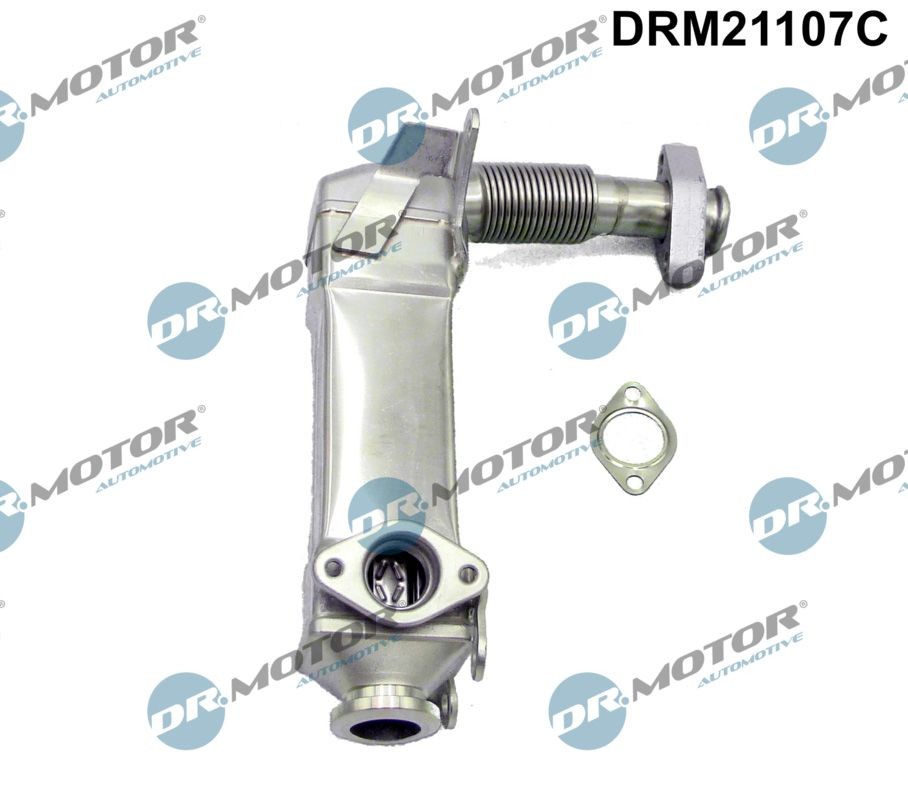 DR.MOTOR AUTOMOTIVE without EGR valve, without thermostat EGR radiator DRM21107C buy