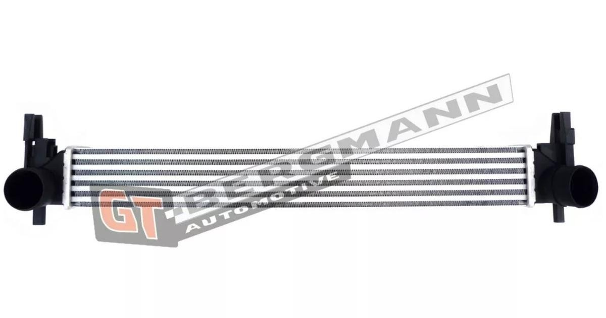 Original GT12-023 GT-BERGMANN Intercooler experience and price