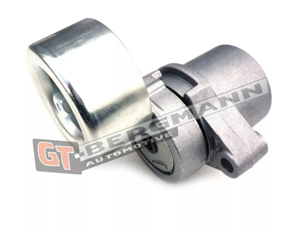 GT-BERGMANN GT51-046 Tensioner pulley RF7J15980