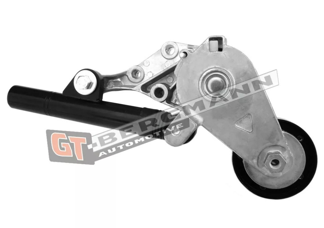 GT-BERGMANN GT51-050 Tensioner Lever, v-ribbed belt SKODA experience and price