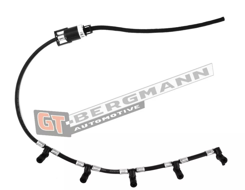 Original GT52-270 GT-BERGMANN Fuel rail experience and price