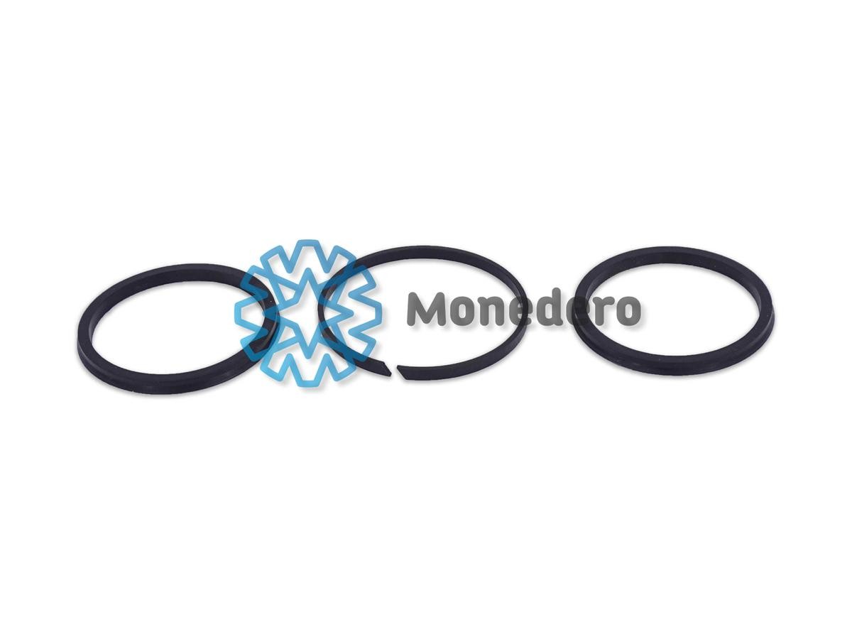 MONEDERO Mercedes-Benz Piston Ring Set 10029000128 buy