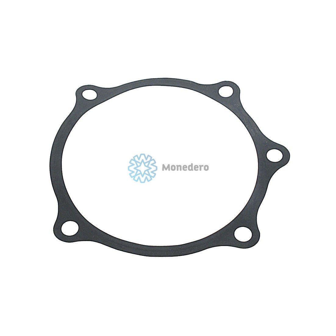 MONEDERO Oil Seal, manual transmission 50021400021 buy