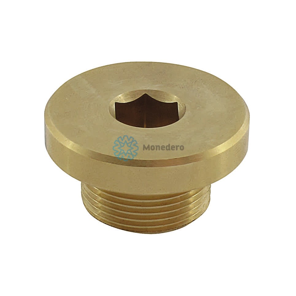 50029000194 MONEDERO Verschlussschraube, Getriebegehäuse für MERCEDES-BENZ online bestellen
