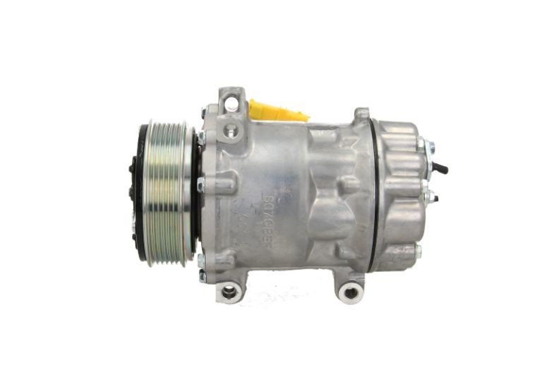 090.215.080+ BV PSH 090.215.080.200 Air conditioning compressor 6452 6842 618