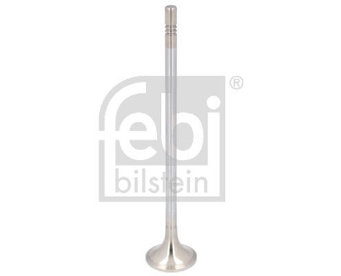 FEBI BILSTEIN 38,05 mm Outlet valve 183424 buy
