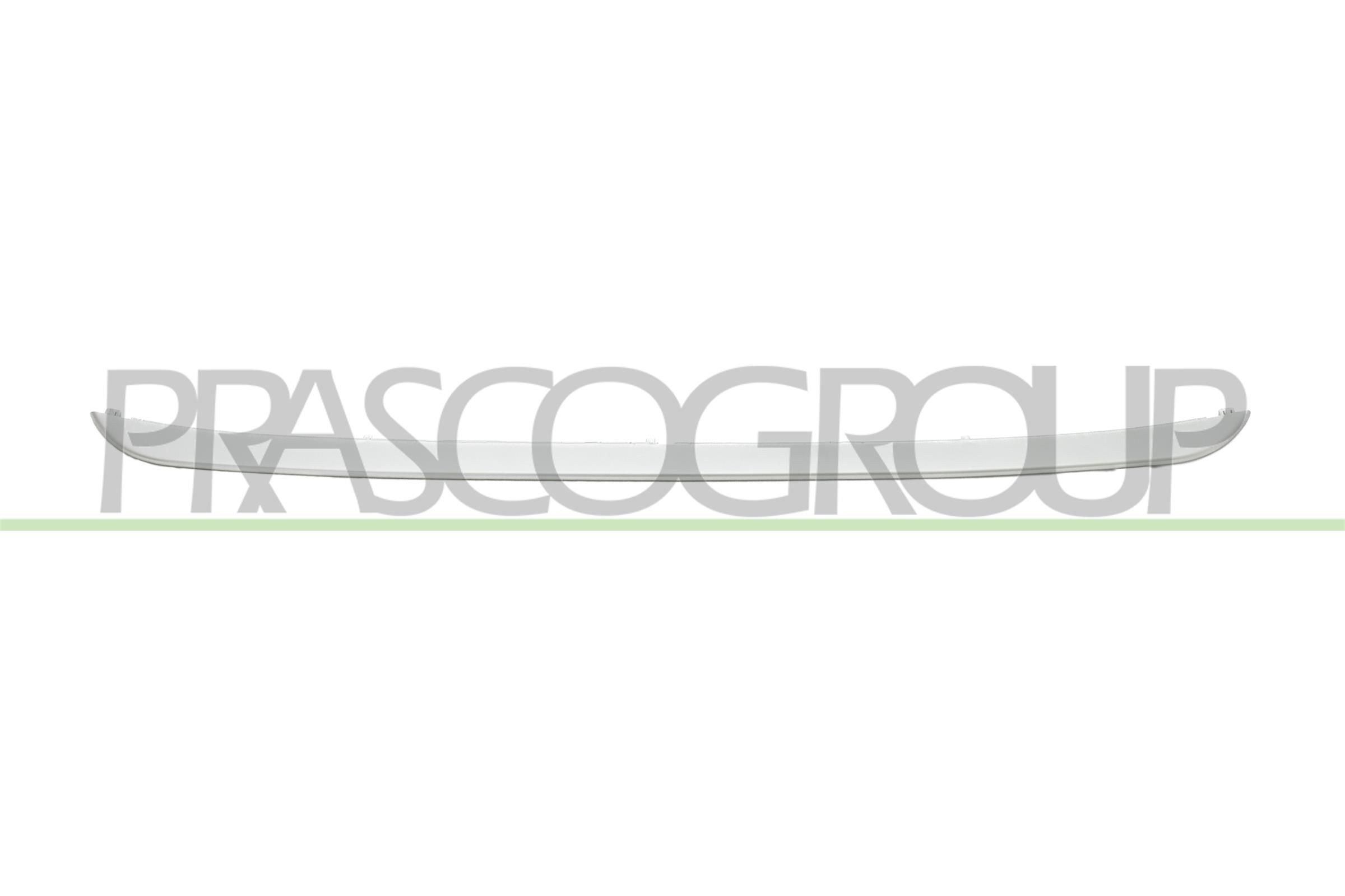 PRASCO Trim / Protective Strip, radiator grille BM7021245 BMW X1 2013