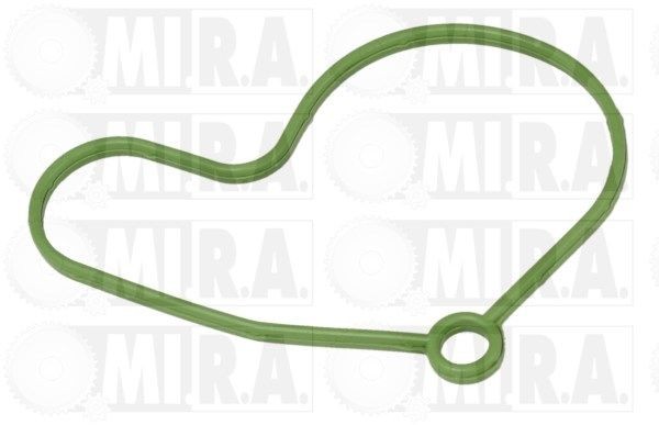 MI.R.A. Repair Kit, vacuum pump (brake system) 29/6005G buy