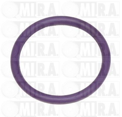 MI.R.A. 50/1007 RENAULT Seal, coolant pipe