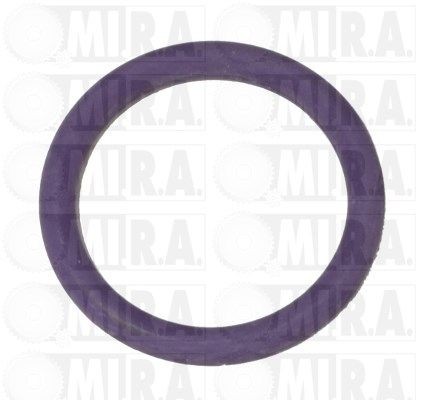 Fiat Seal Ring, coolant tube MI.R.A. 50/1008 at a good price